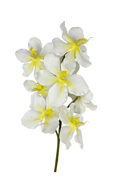 Nettenevime Yapay Çiçek Beyaz Eva Orkide Büyük Boy Gerçeksi Doku Uzun Dal 68cm