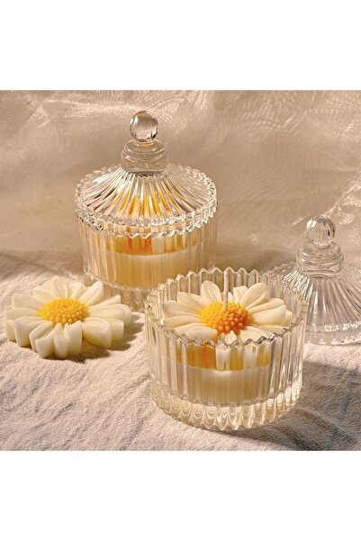 Bernami Pinterest Dekoratif Kutulu Kokulu Papatya Mum