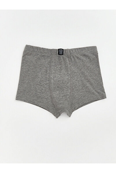 LC Waikiki Peak New Season Basic Boys' Boxer
