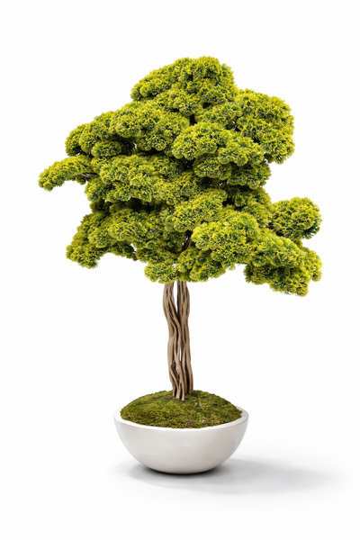 FENIXART Dekoratif Yapay Bonsai Ağacı