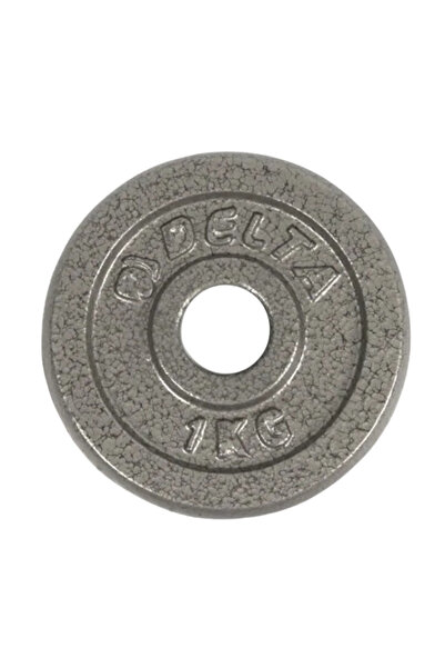 Delta 1 Kg Gri Döküm Plaka Ağırlık ( 1 Adet )