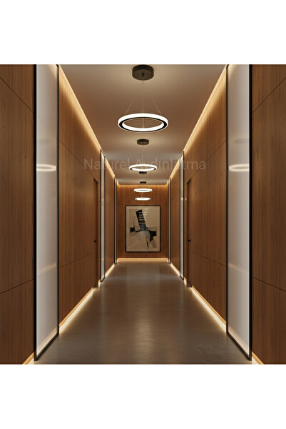 N Naturel Aydınlatma 30 cm Minimalist Halka LED Avize - Çift Yönlü Aydınlatma...