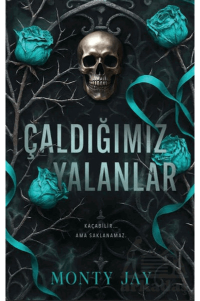 Martı Yayınları Çaldığımız Yalanlar