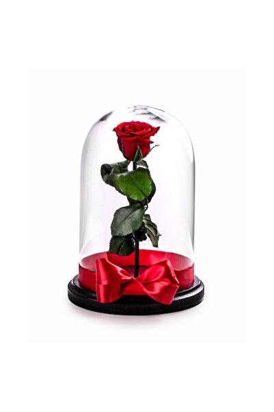 Urban Trends Trandafir roșu înghețat, Rose Amor, cupolă de sticlă 25 cm, pang...