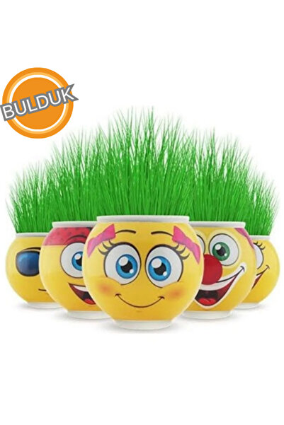 BULDUK 4 Adet Emoji Çim Adam – Eğlenceli Çimlendirme Oyuncağı | Doğum Günü, O...