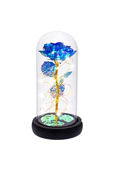 AUSAYE Cryogenated Rose in Dome, AUSAYE, Glass, LED, 20 cm, Blue
