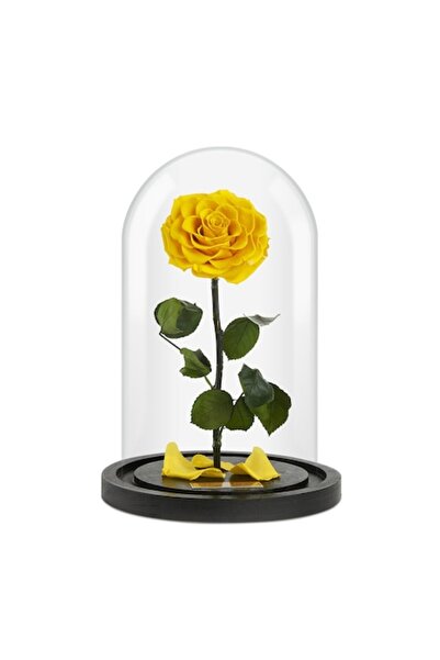 OEM Forever Rose Cryogenated Yellow Rose