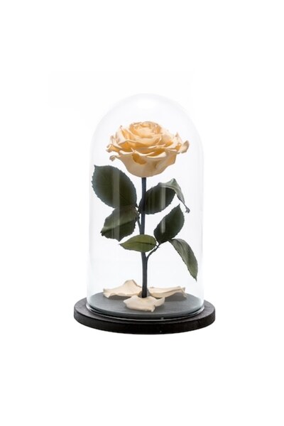 Maison D'or Cremă criogenată de trandafir