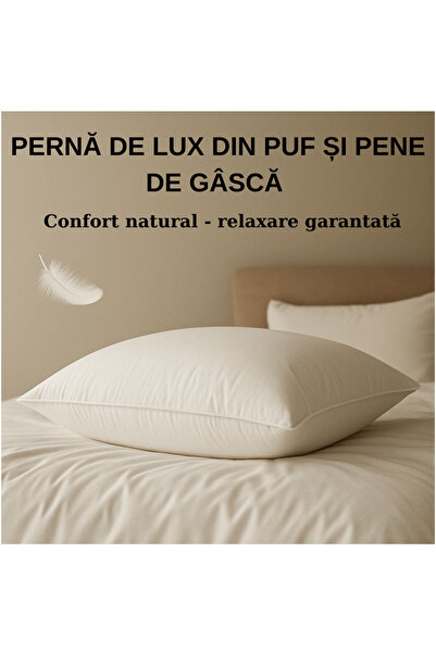 Coneltex Set of 2 goose down and feather pillows 50x70