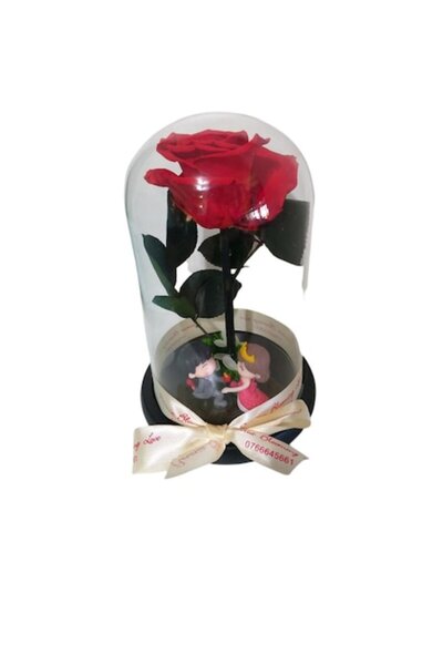 OEM L Dome with Cryogenated Red Rose and Loving Figurines