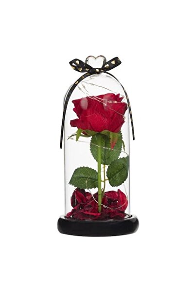 OEM Cupolă de sticlă cu trandafir și lumini LED, Ziua Îndrăgostiților, multic...