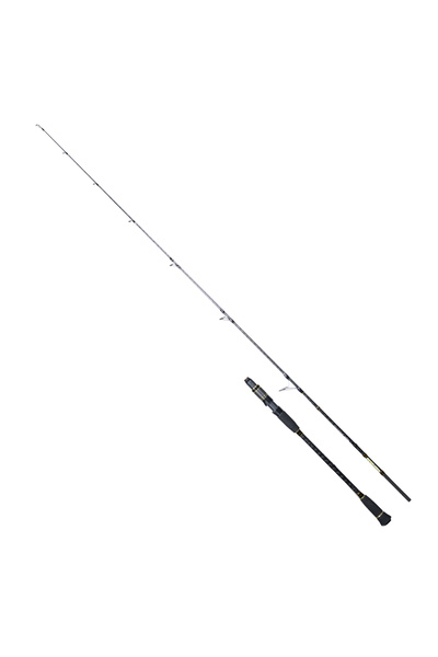 RYUJI Ocean Soul Fuji (M) 180cm 80-300gr Slow Jig Kamışı