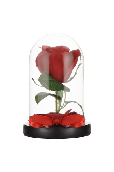 OEM Gift for Valentine's Day, Rose in Glass Dome with Wooden Base