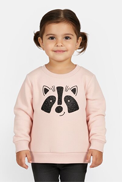 Fox Toddlers Girl Crew Neck Embroidered Sweater, Pink