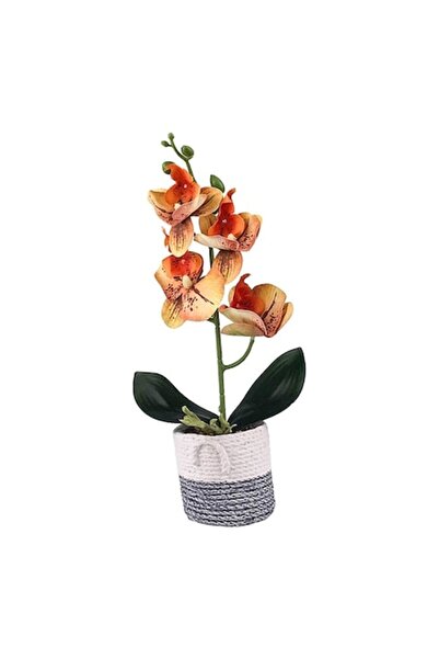 OEM Ghiveci ceramic cu bonsai din plastic, 10x30 cm, multicolor