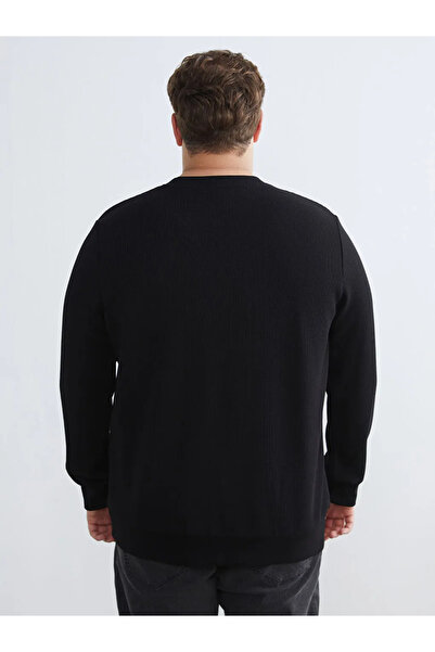 LC Waikiki Crew Neck Men's Sweatshirt