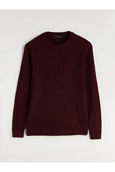 LC Waikiki Crew Neck Men's Knitwear Sweater