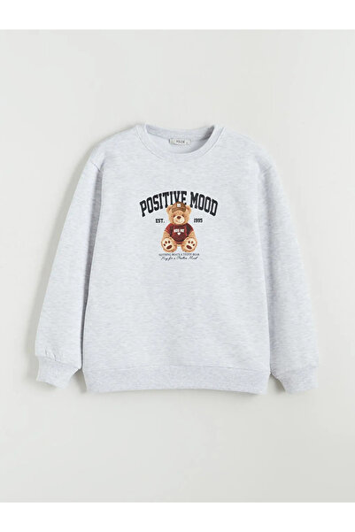 LC Waikiki Bear Teddy Printed Oversized Women's Thick Sweatshirt