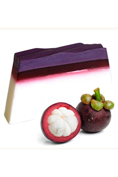 AW Gifts Tropical Paradise Soap - Mangosteen 100gr