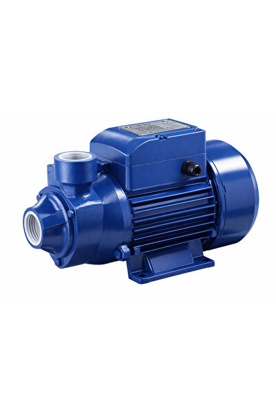 HAPPY PUMP Water pump – 0.5 HP – 1 inch