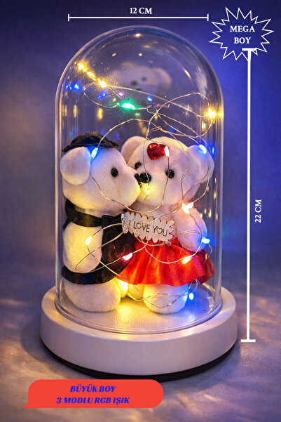 CHANCE GİFT LED Işıklı Çiftlere Özel Fanus Beyaz Tabanlı Ayıcıklı Fanus – Sev...