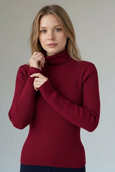 WYNA BOUTİQUE Women's Turtleneck Knitwear Sweater