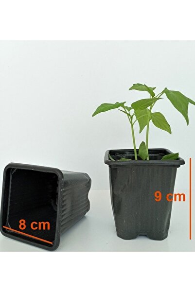 Ekodoğa Vakum Saksı 8x8x9 cm 100 adet Üretim Saksısı Çiçek Saksısı Kare Saksı