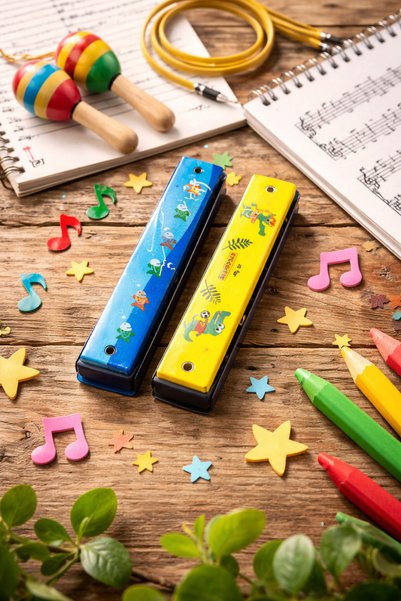 seymen bıçakçılık Colorful Harmonica for Children – Educational Wind Musical ...