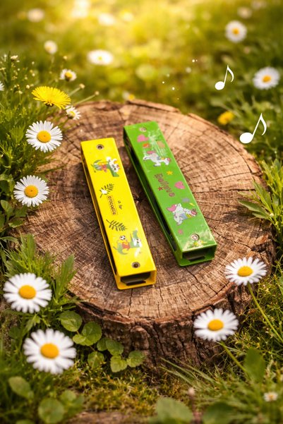 seymen bıçakçılık Colorful Harmonica for Children – Educational Wind Musical ...