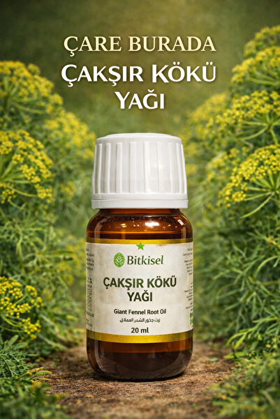 Çare Burada Bitkisel Çakşır Kökü Yağı 20 Ml