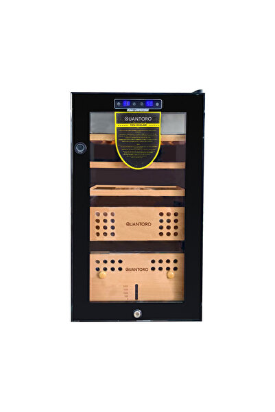 GoldEagle QCC 2B Premium Dijital Kabinet Puro Dolabı