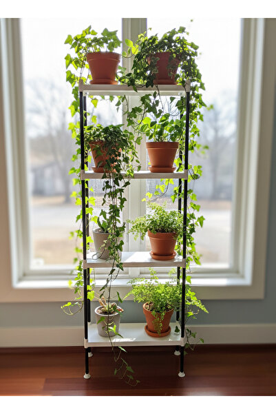 Lider Tunç TUNİVA EVA Dekoratif 4 Katlı Çiçeklik Standı: Modern Basamaklı Sak...