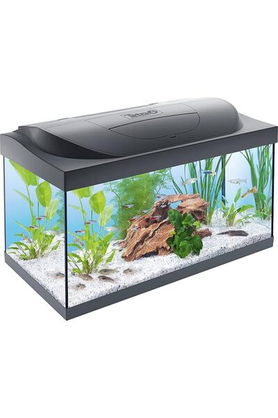 Tetra Starter Line 54 l akvaryum komple set – gündüz ve gece lambası LED aydı...