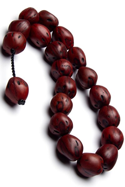 EHİNOS Efe Boy Red Brown Natural Andiz Seed Prayer Beads in Men's Gift Box