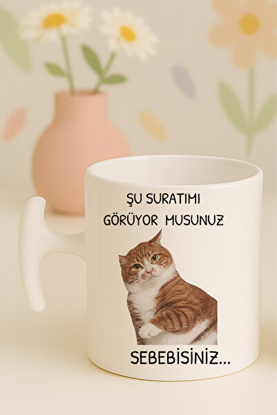 Witchy Co Şu Suratımı Görüyor Musunuz, Sebebisiniz Yazılı, Kedili Komik Kupa ...