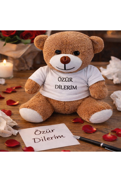 Store Barışma Hediyesi Peluş Ayıcık 25 cm – Özür Dilerim Tişörtlü Sevimli Oyu...