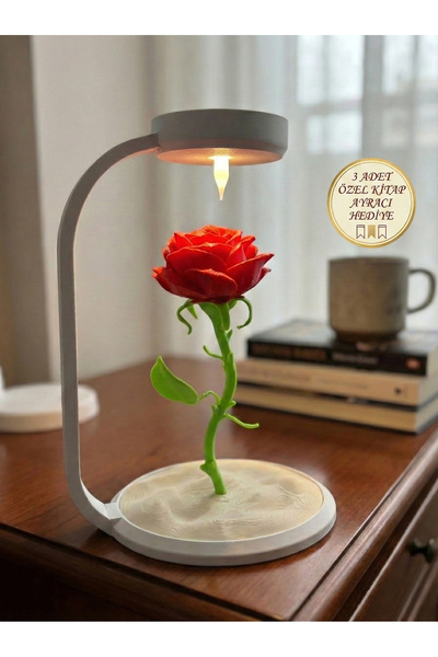 Moliocraft Dekoratif Gül Lamba - Ledli Masa Lambası - Sevgililer Günü, Yıldön...