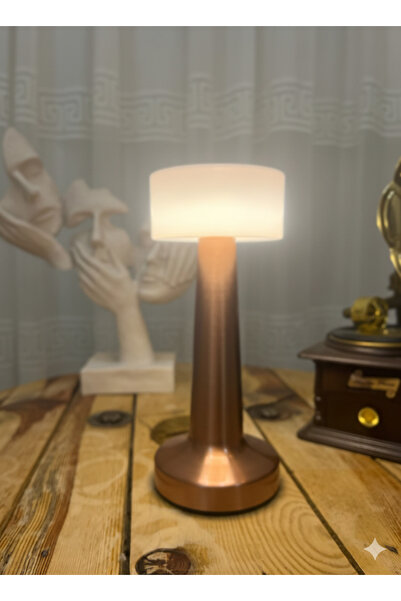 EyluX Shop Dekoratif Şarjlı Dokunmatik 3 Renkli Led Masa Lambası Usb-TypeC Ka...