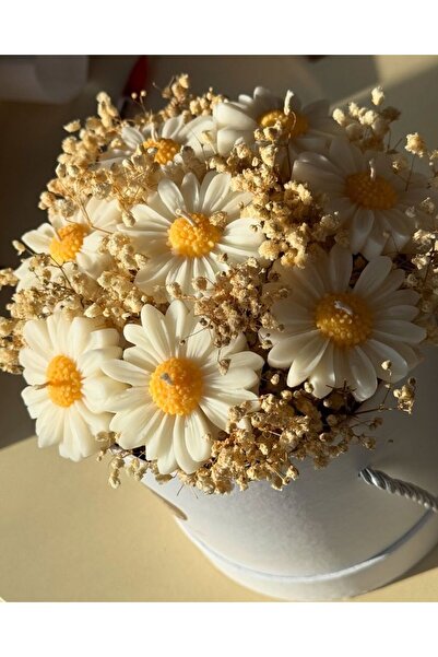 Çağıl organizasyon Papatya & Kuru Çiçek Saksı Mum Papatya Figürlü Saksı Mum |...