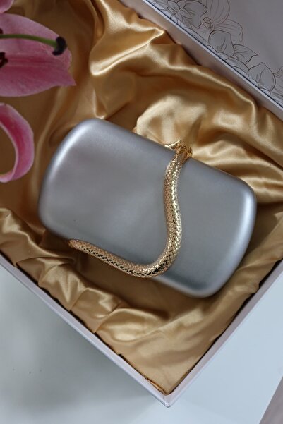 Moom Bag Women's Silver Snake Accessory Chain Evening Bag