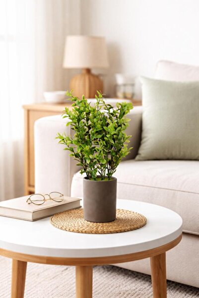 GOTA-X A stylish decorative plant on a modern table, 30 cm long