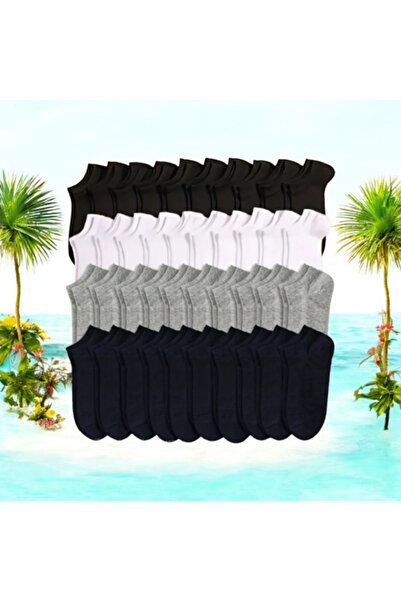 nujum 96 Pairs of Socks