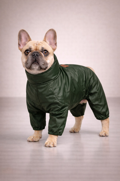 Alphadog Design Coverall Leather 4 Bacak Köpek Yağmurluğu