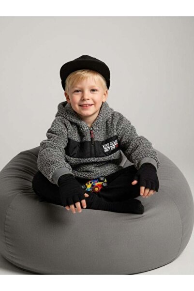 Zekids Boy's Hooded Half-Zip Design Plush Sweat