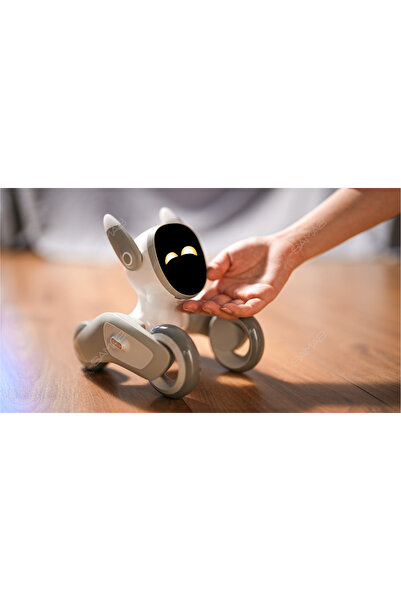 adornist Loona Akıllı Robot Köpek Evcil Hayvan – Türkçe – GPT-4o – Premium Pa...