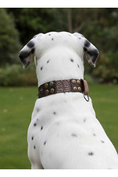 balkonda طوق للكلاب قابل للتعديل للسلالات الصغيرة والمتوسطة والكبيرة، جلد بعر...