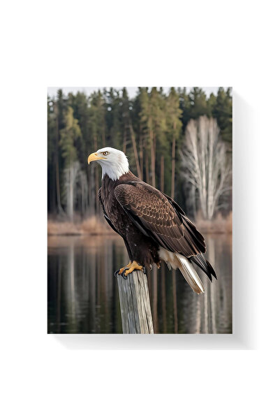 Printees Tablou - Vultur lângă lac - Canvas pe șasiu