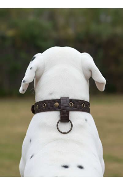 balkonda Dog Collar Adjustable All Breeds 2.5 cm Width Leather