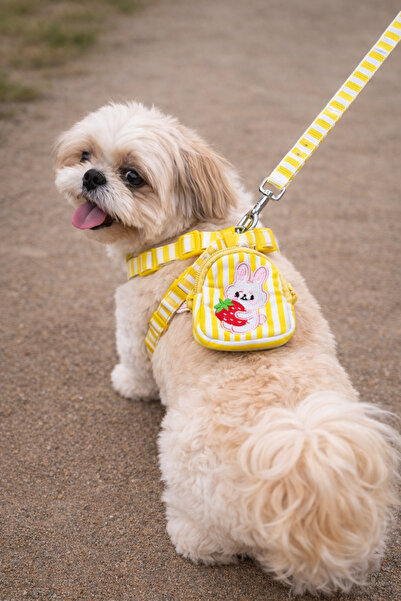 mastercat Backpack Bunny Harness + Travel Strap Set