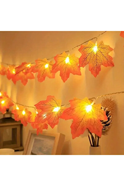 Choice علبة بطارية، 6 أمتار، 40 مصباح LED، قطعة واحدة، 10/20/40 مصباح LED، سل...